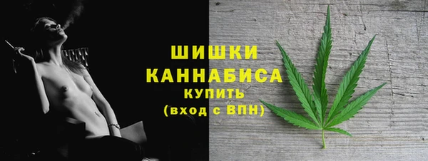 гидра Михайловск