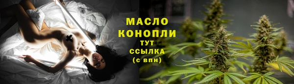 гидра Михайловск