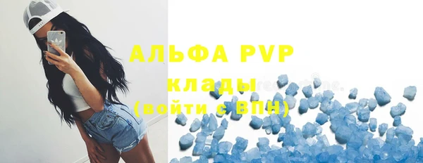 гидра Михайловск