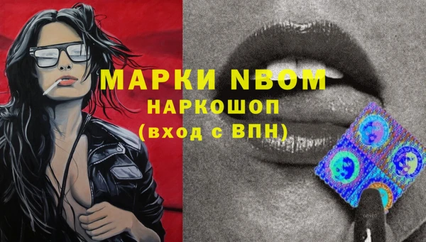 гидра Михайловск