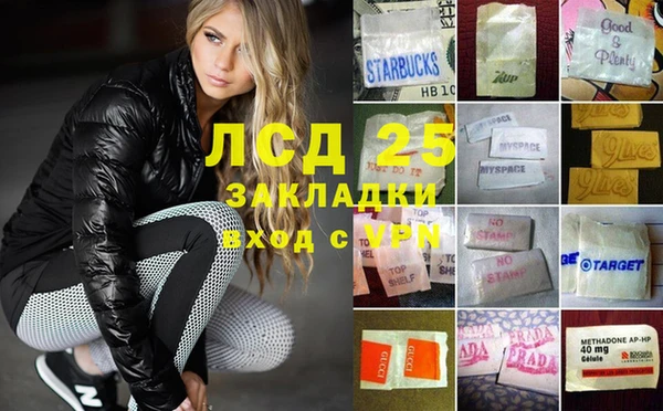 гидра Михайловск