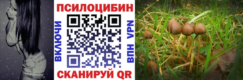 Галлюциногенные грибы MAGIC MUSHROOMS  Кондопога 