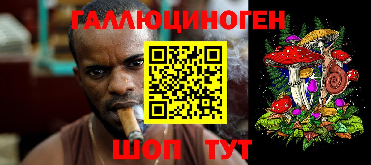 Псилоцибиновые грибы Cubensis Кондопога