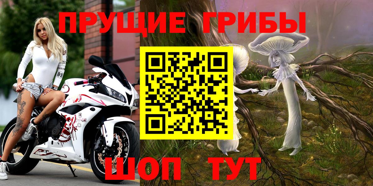 даркнет сайт  Галлюциногенные грибы прущие грибы  Кондопога  Вход с VPN  Псилоцибиновые грибы прущие грибы 